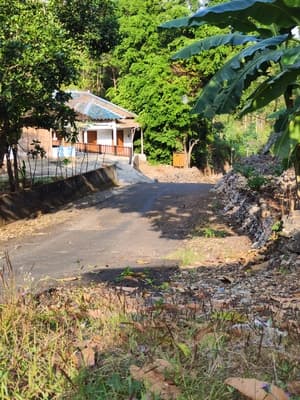 Jalan Kayutowo Gebang